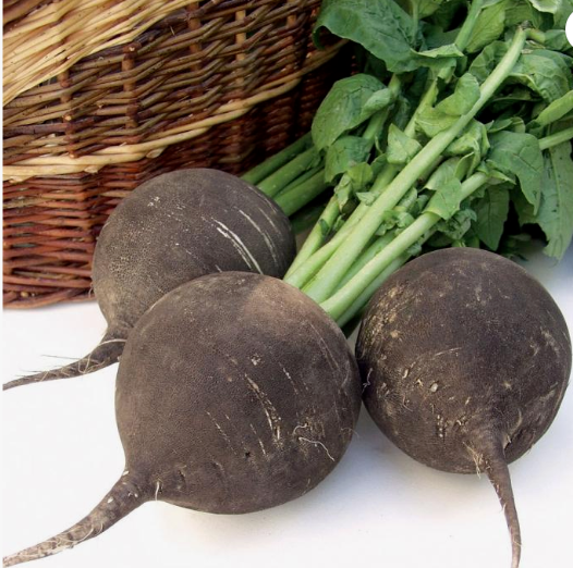 Три домашних средства от весенней простуды