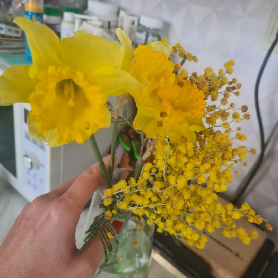 Как я решила вырастить огород на подоконнике и что из этого вышло