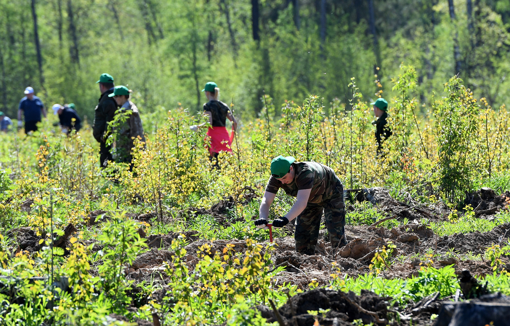 Достижения Путина за время правления: что сделал президент для страны — факты кратко. Ну или просто: что в России хорошего?