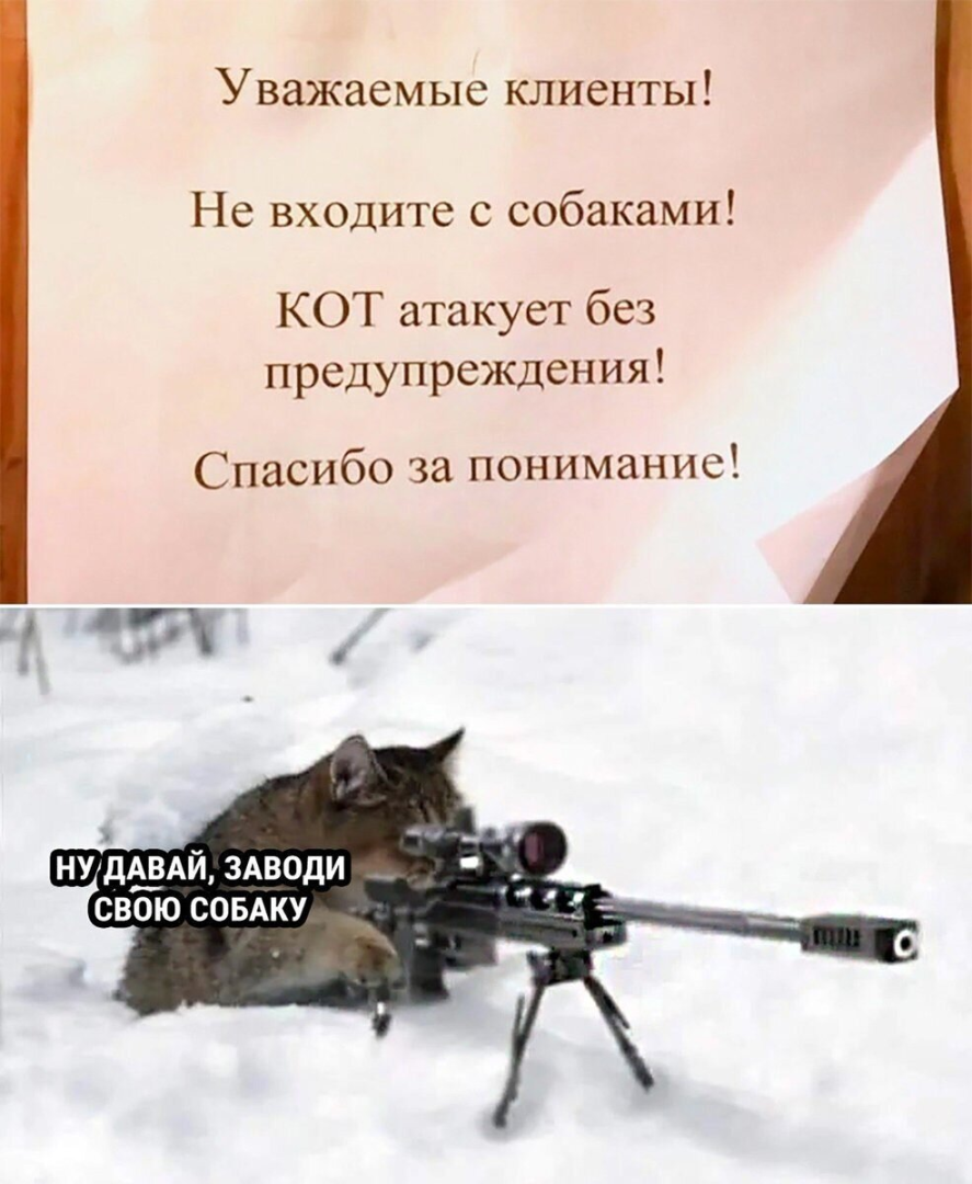 Горько становится от мысли что слышим и читаем в СМИ и ИНТЕРНЕТЕ , ЧЕМ хвалятся в ед....сии , что говорят другие партии думы . Лозунги и ложь .