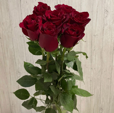 Какие цветы выбрать для мужчин на подарок.