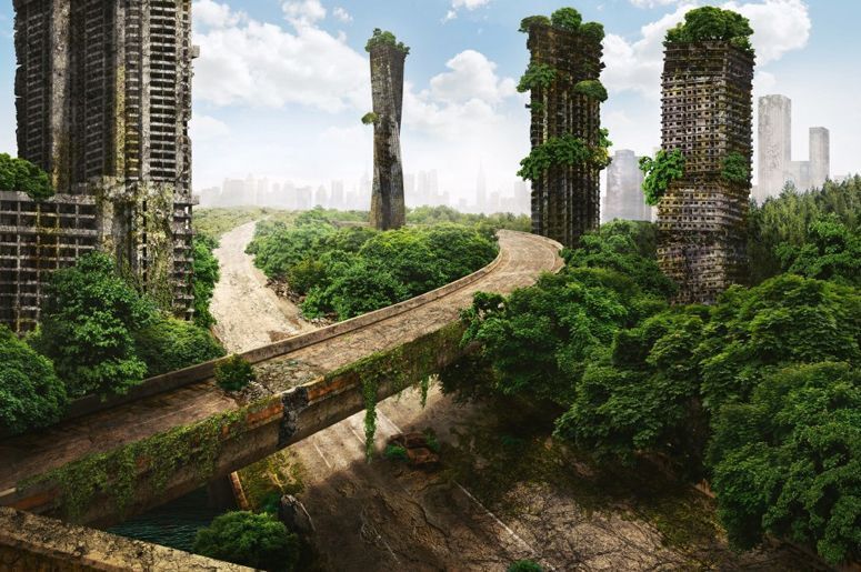 Что будет если люди исчезнут, на земле на 1000 лет.