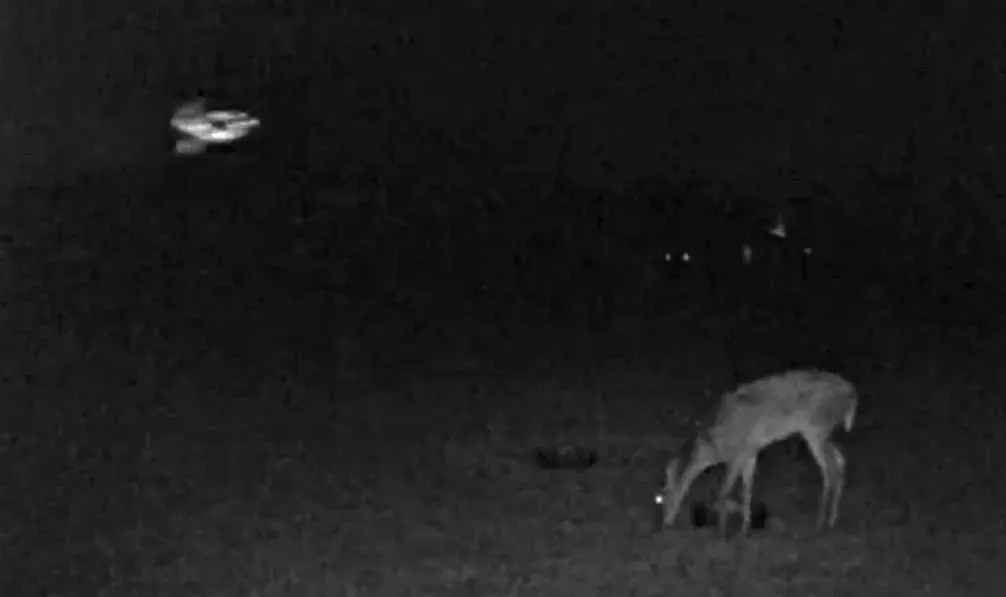 Редкое и необъяснимое видео НЛО