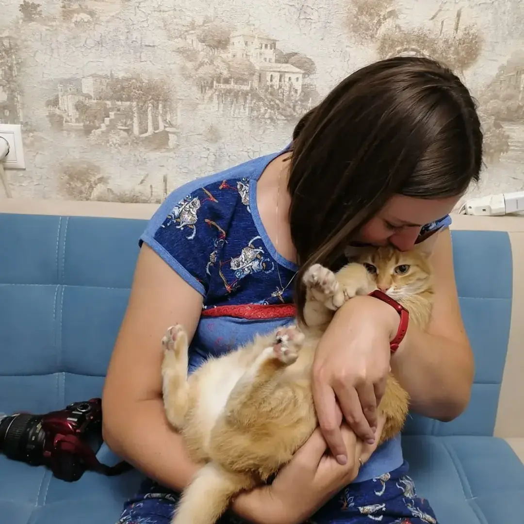 Как я встретила свою рыжую кошку или почему беспородные кошки не хуже