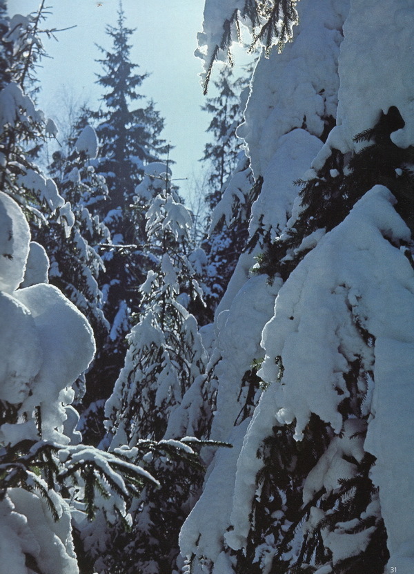 Наслаждение природой