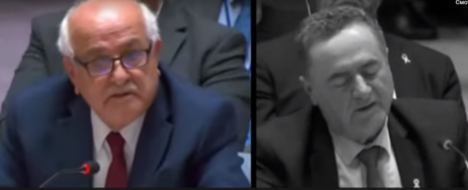 Россия и Палестина выступили против Израиля в ООН по поводу нарушений прав человека в секторе Газа