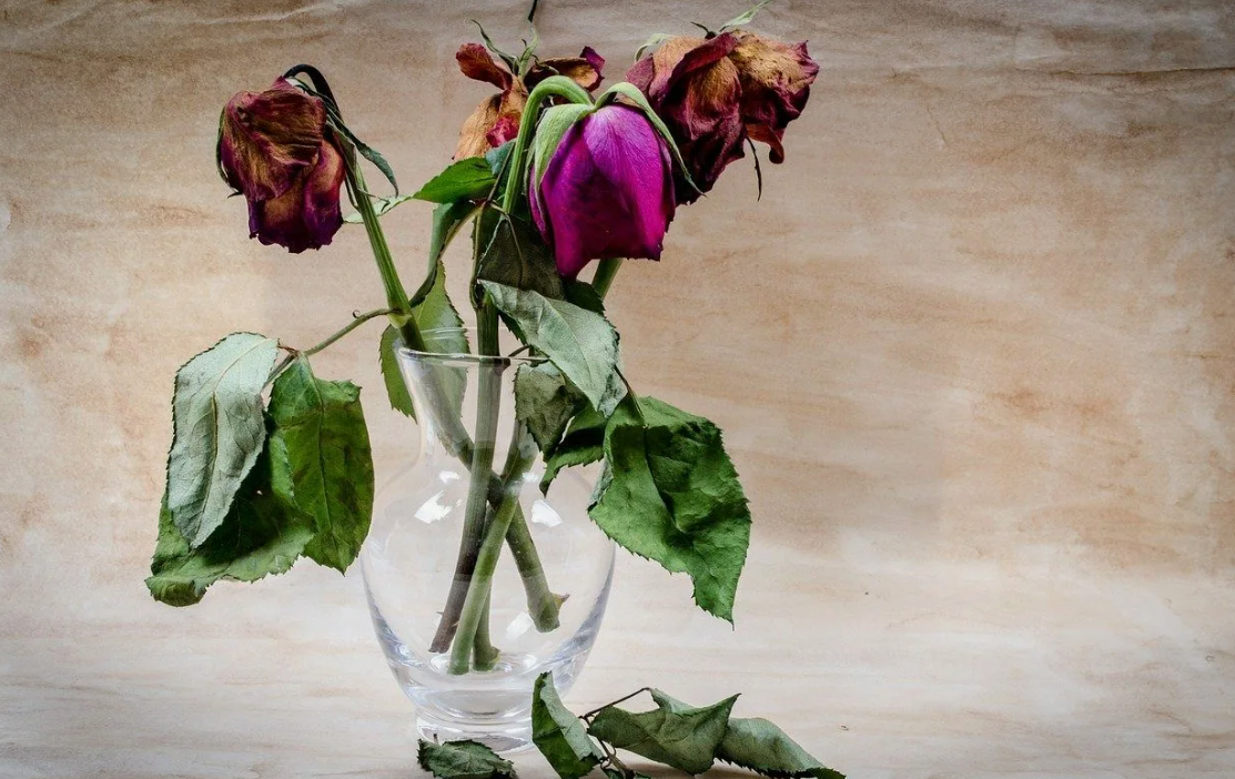 Неприятный запах изо рта. Галитоз или галитофобия?!