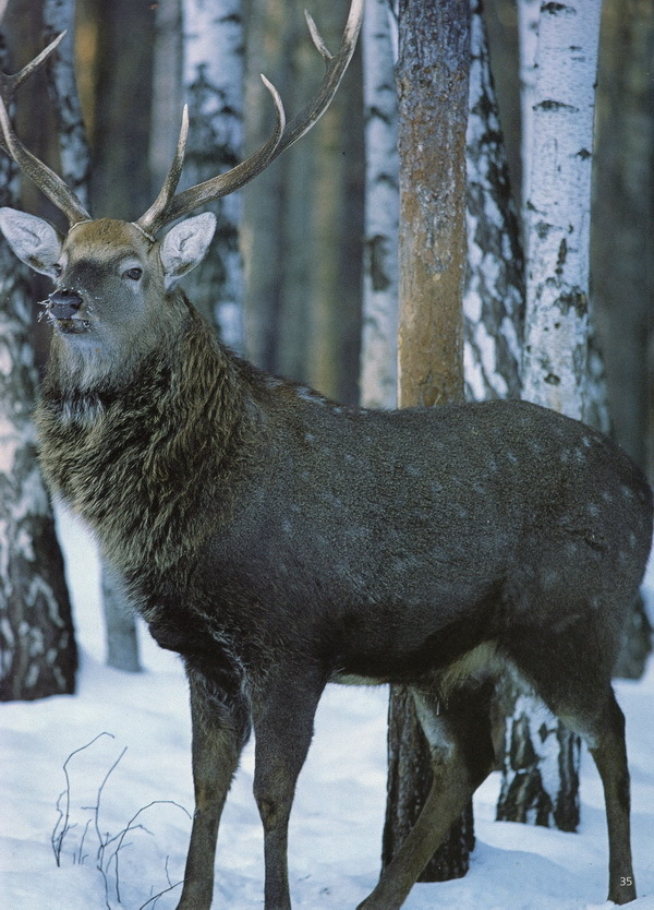 Наслаждение природой
