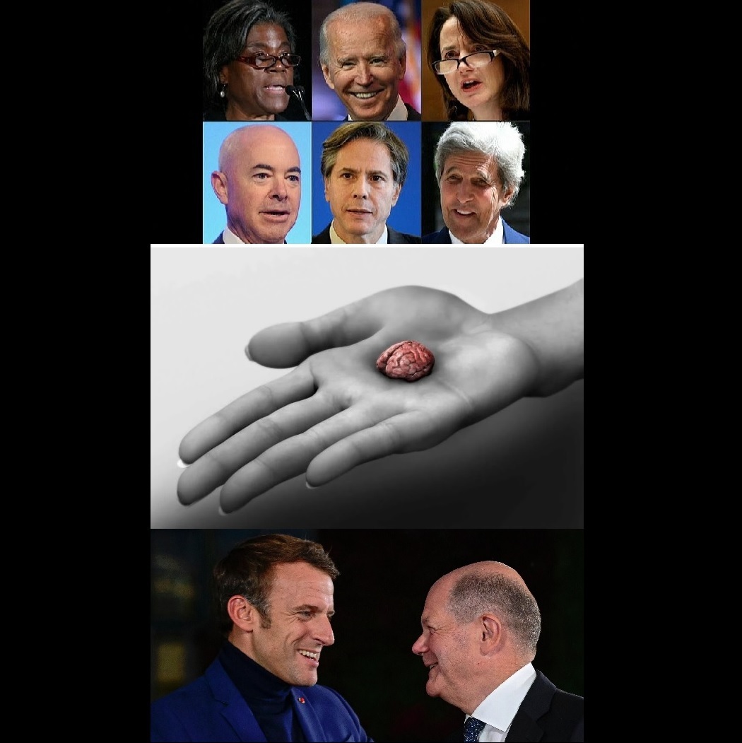 Американский анекдот - Унция мозга