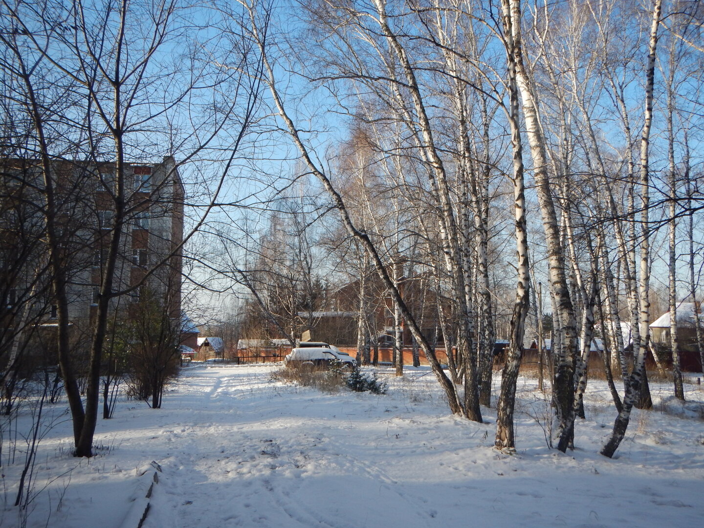 Из жизни геолога. « Это месть, ведь он меня домогался» - уверяла ответчица судью