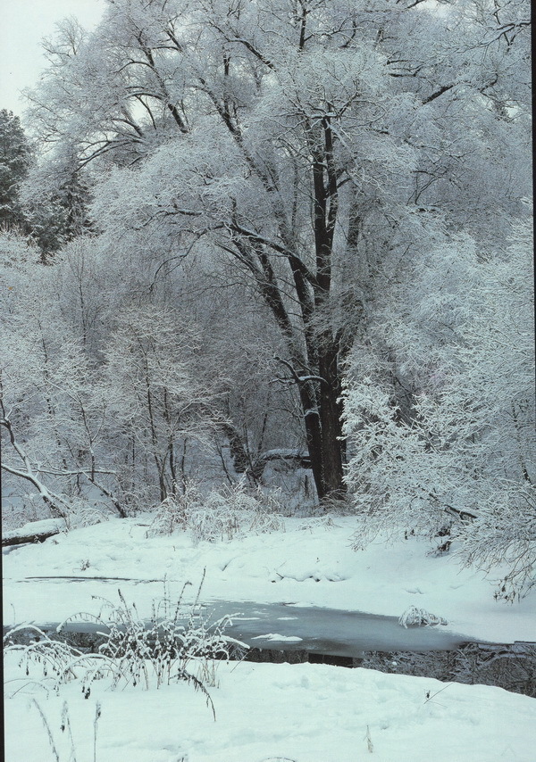 Наслаждение природой