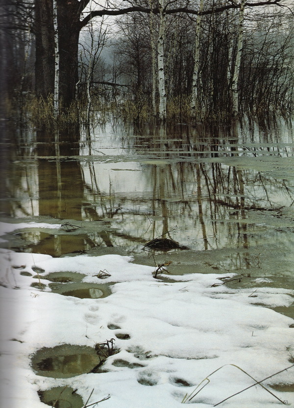 Наслаждение природой