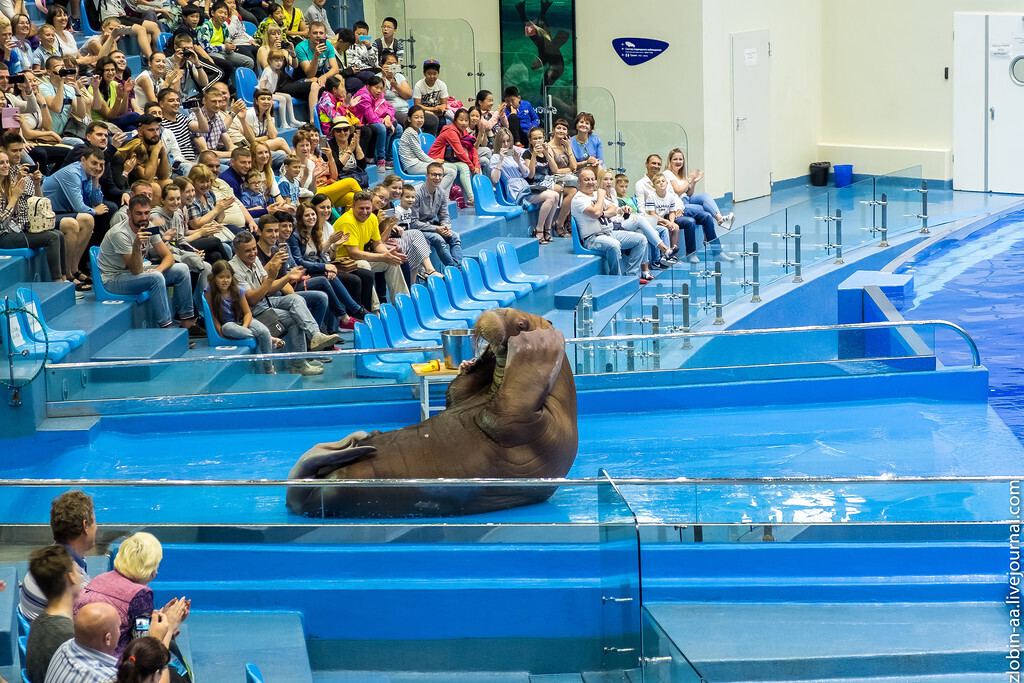 Уловки одной из туркомпании Владивостока.Как "разводят" постояльцев социального санатория?