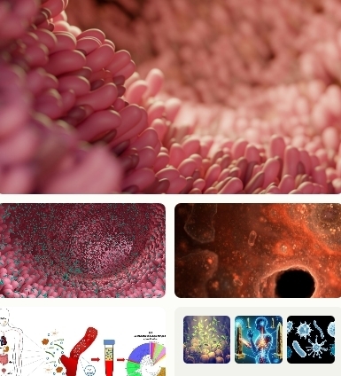 Таинственные обелиски в кишечнике человека