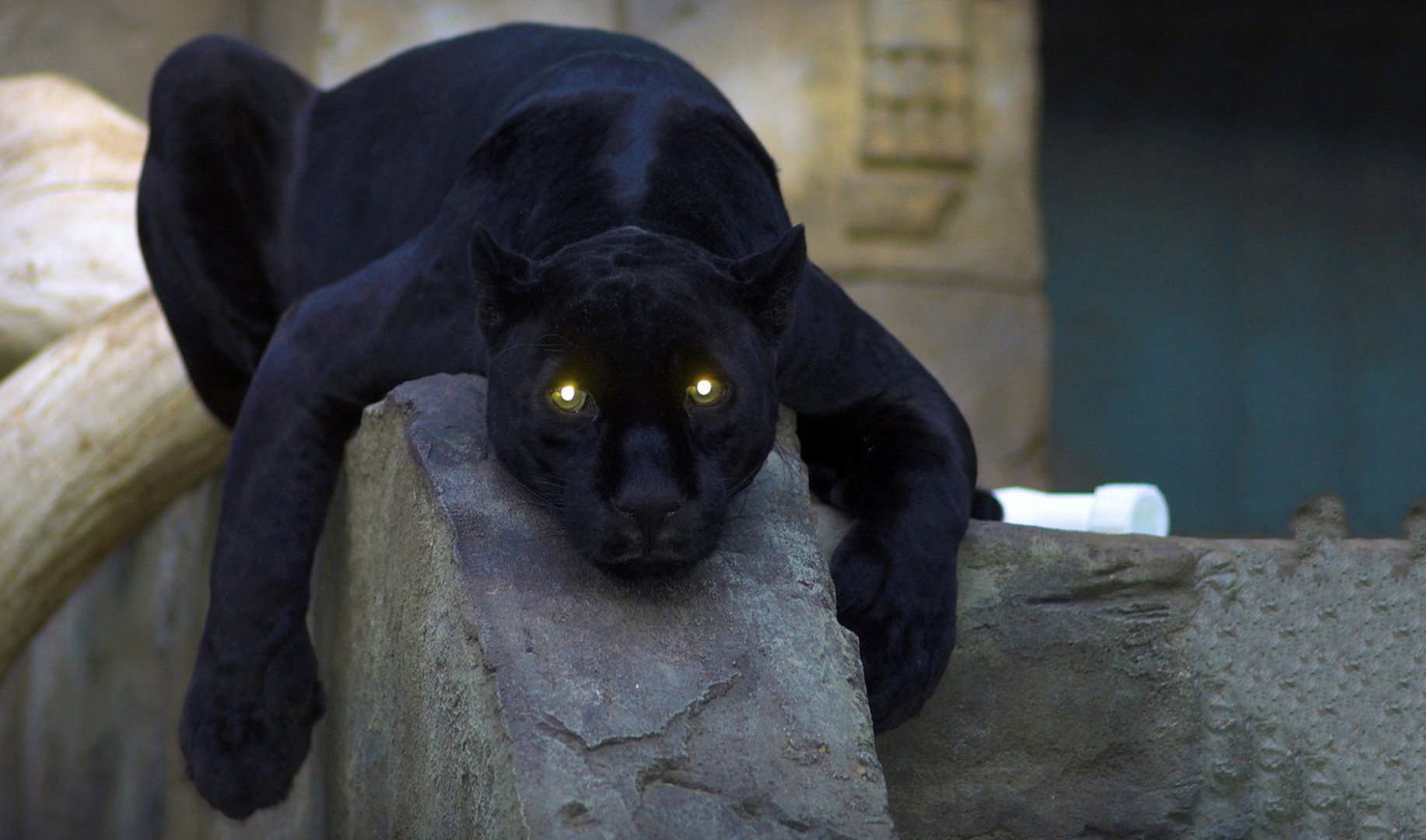 Имеет ли любовь свой собственный свет? И какой???