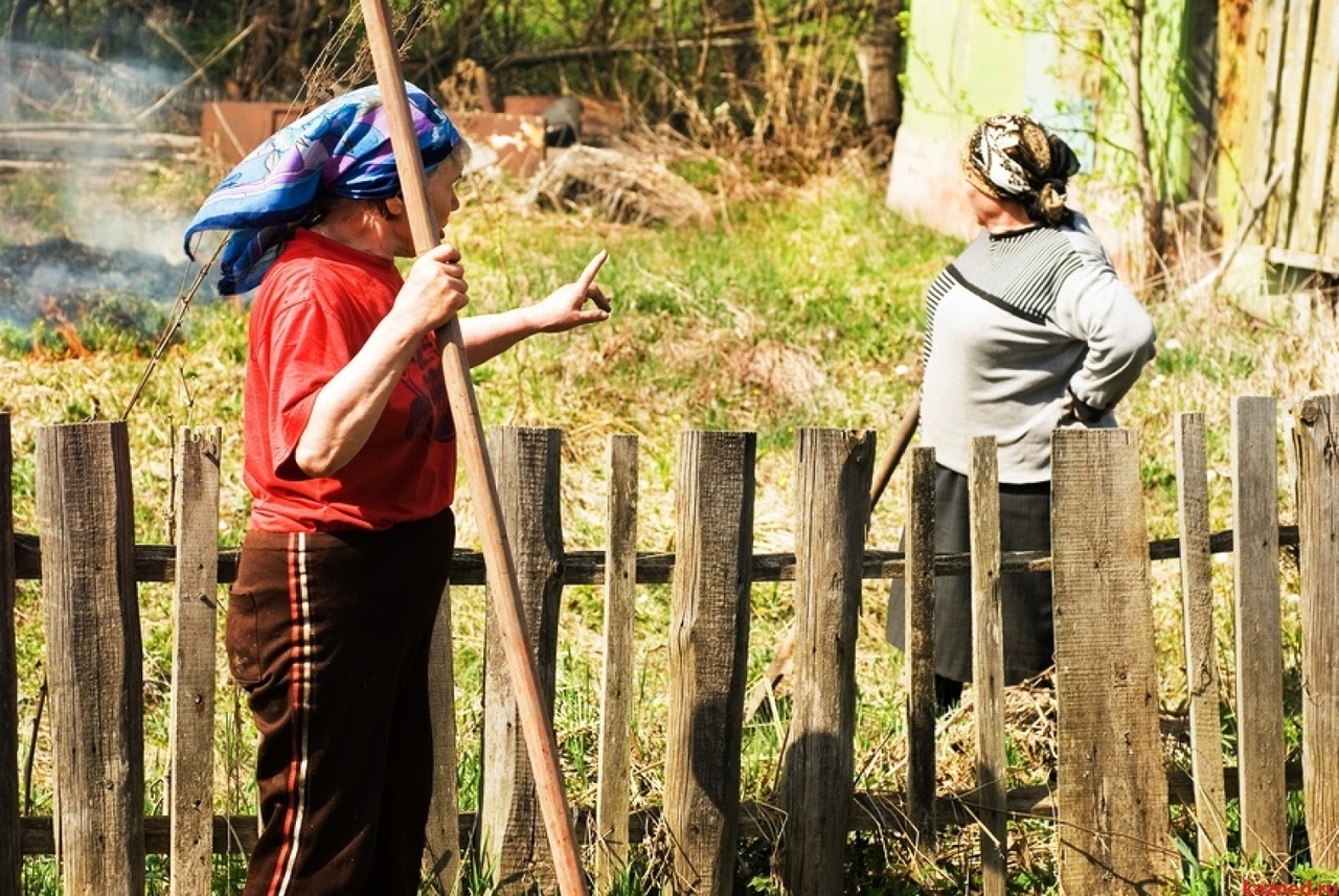 Дружите с соседями, иначе можно встретиться в суде: как аристократка поругалась с доцентом