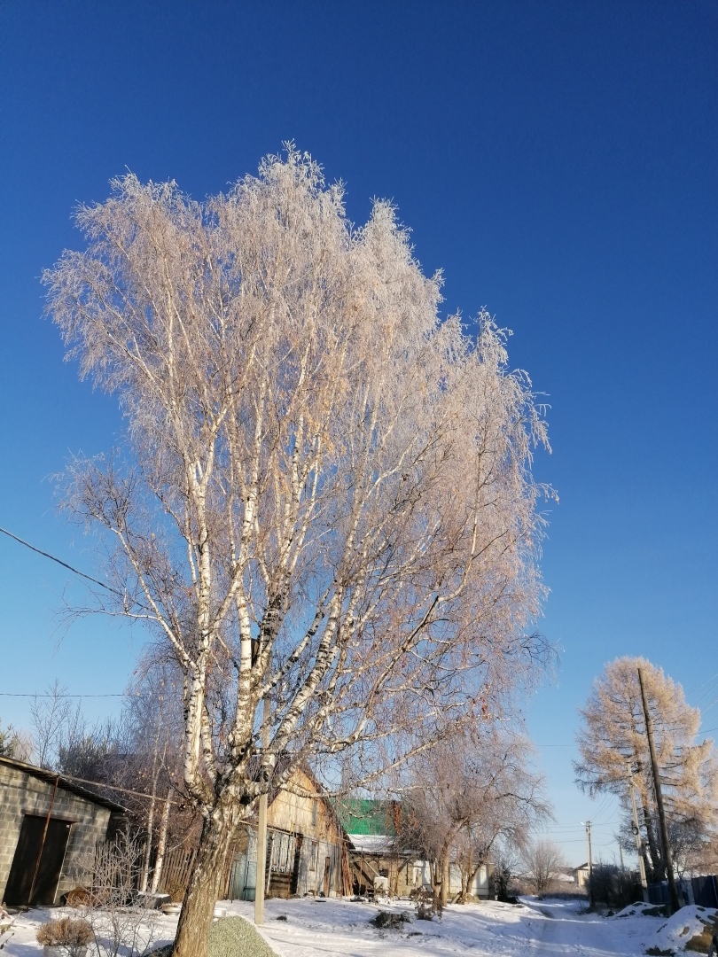 Деревенский роман. Не было бы счастья, да несчастье помогло
