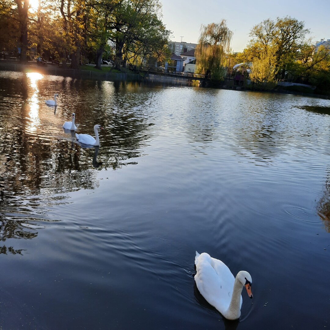 Признание в любви моему родному городу. Люблю Саратов, несмотря на все его недостатки.