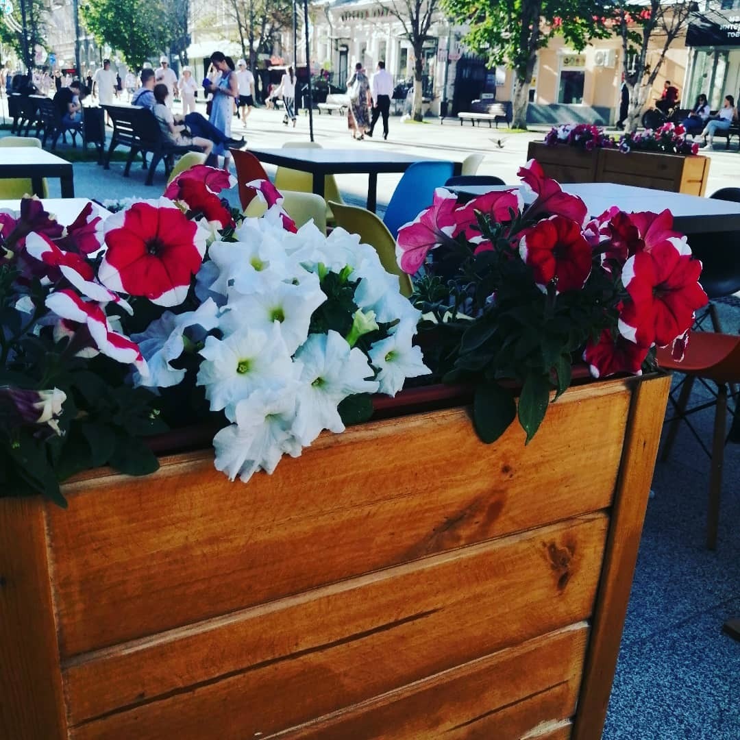 Признание в любви моему родному городу. Люблю Саратов, несмотря на все его недостатки.