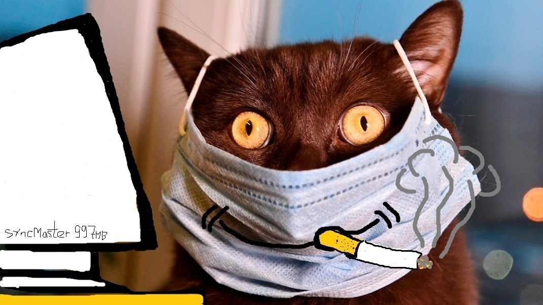 Выходной у старого гастарбайтера или кто такая Гарпиявка?