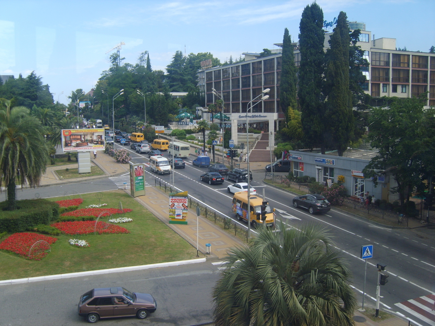 Сочи. Наша поездка в «Дендрарий». Масса впечатлений от удивительных растений!