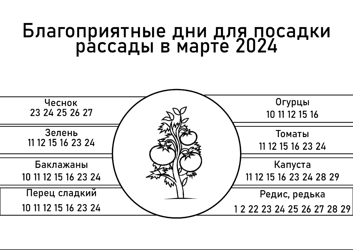 Обрезка деревьев по лунному календарю 2024