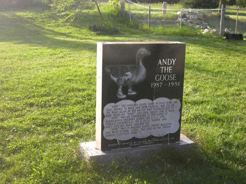 Гусь в кроссовках: трагедия Флеминга