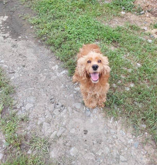 Как я встретил одного из лучших друзей всей своей жизни