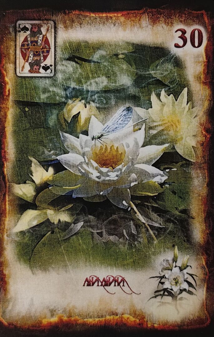 Карта дня - Дерево - Гармония, спокойствие и благоприятные перспективы.