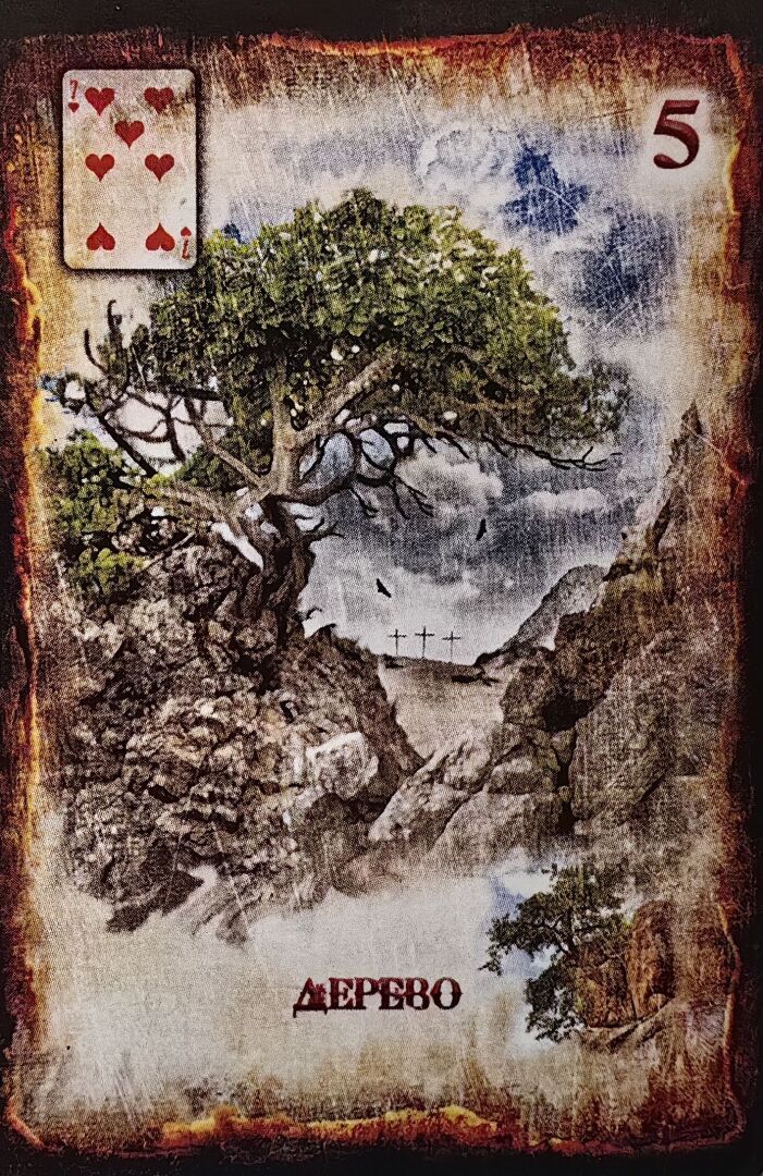 Карта дня - Дерево - Гармония, спокойствие и благоприятные перспективы.