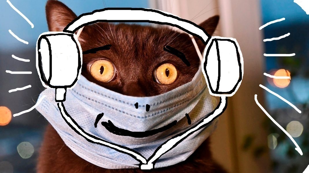 И таки немного музыки или хвостатый сегодня песенки поет.