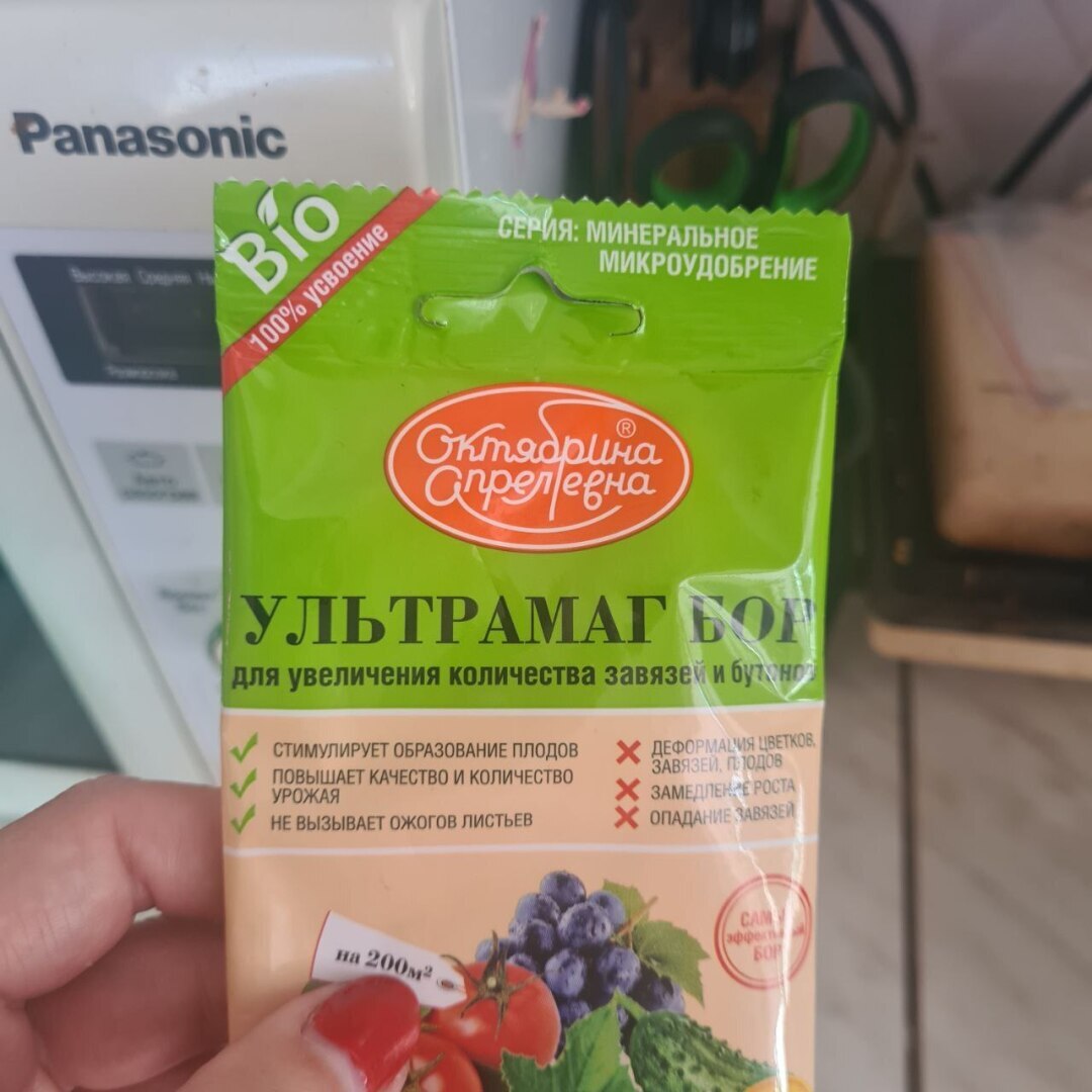 Как борюсь с земляной мошкой в рассаде?