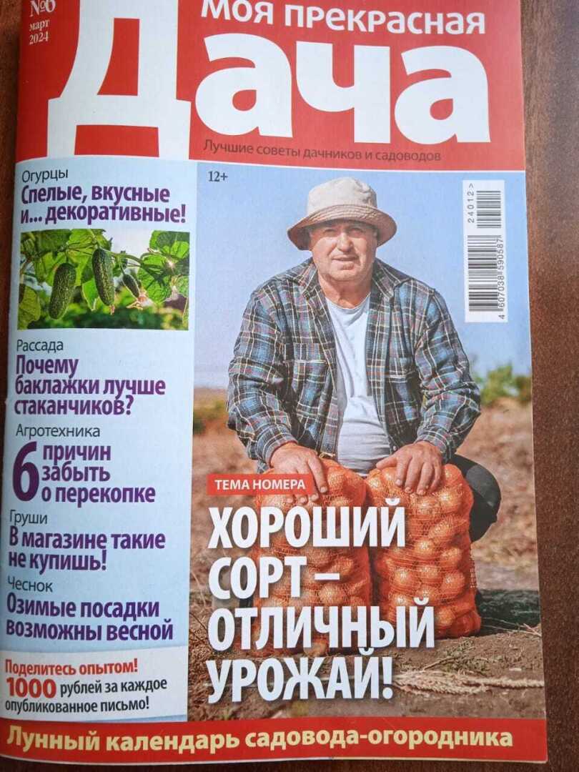 «Как спрятаться от соседей»: мой красивый и оригинальный способ ландшафтного дизайна и моя новая публикация на страницах дачного журнала