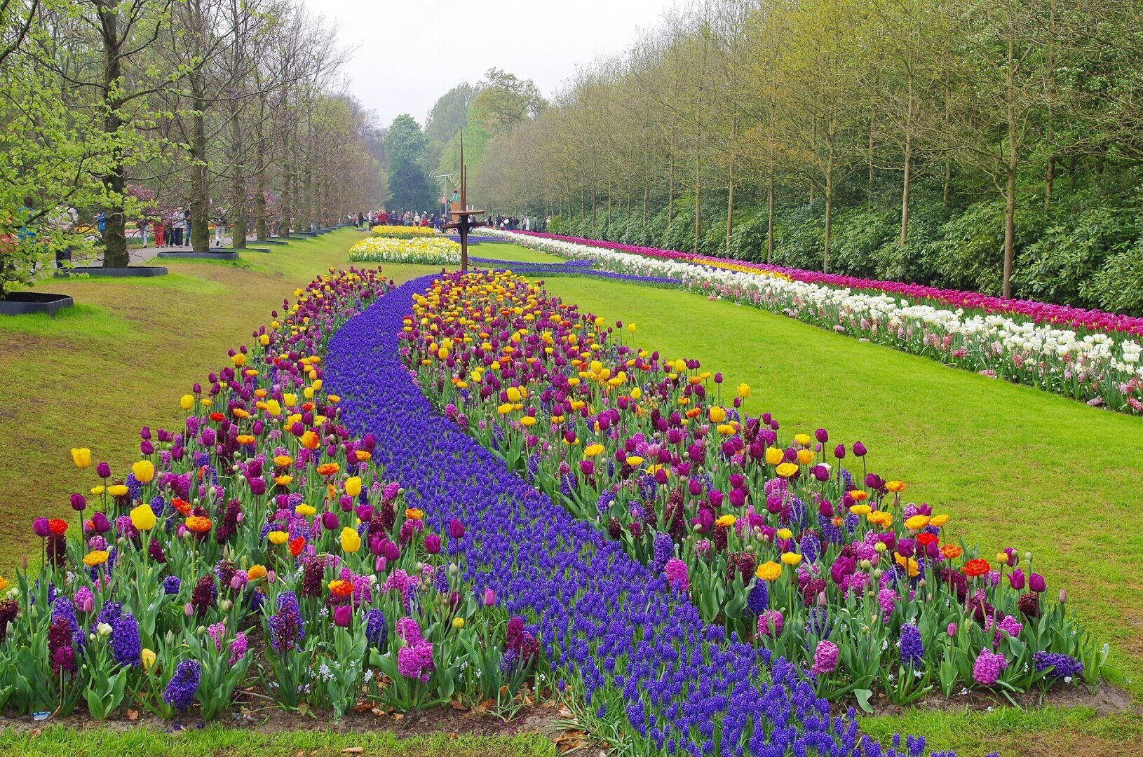 Можно ли заработать на выращивании цветов например? Больше наверное интересуют уличные цветы, а не комнатные всякие. Приму любые советы и рекомендации