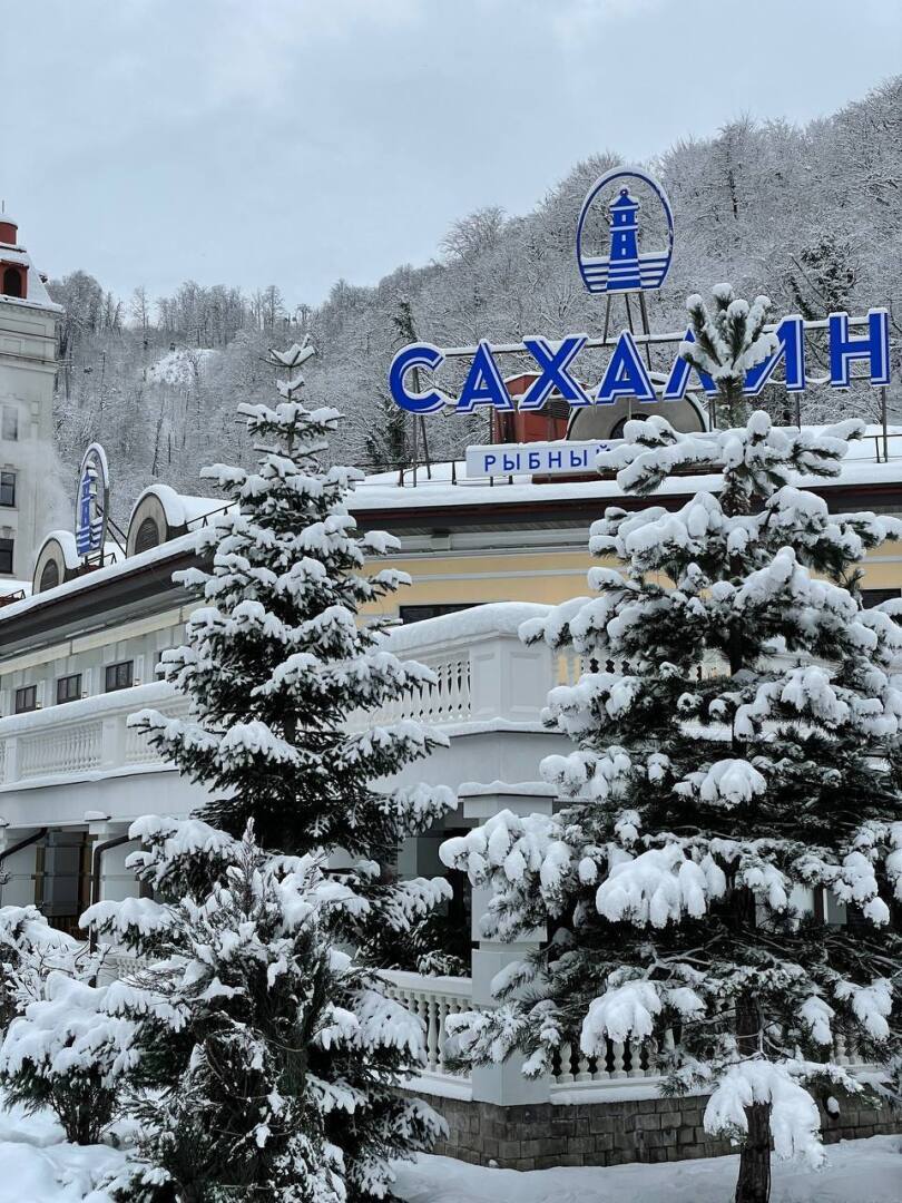 Полгода в Сочи: личный опыт. Впечатления, фото.