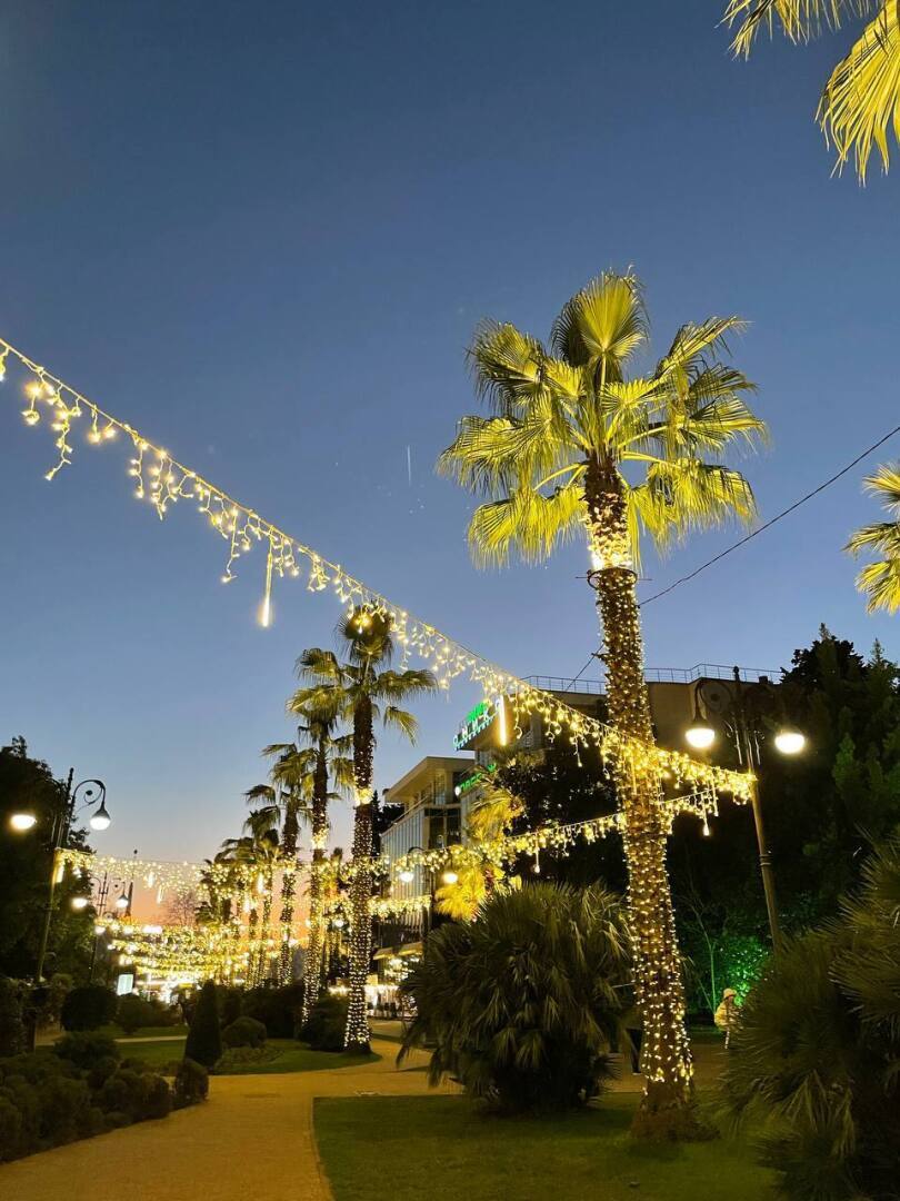 Полгода в Сочи: личный опыт. Впечатления, фото.