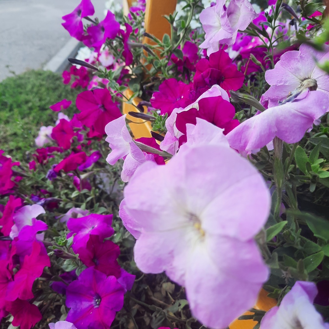 О современных рыцарях: обычных мальчиках, парнях и мужчинах.