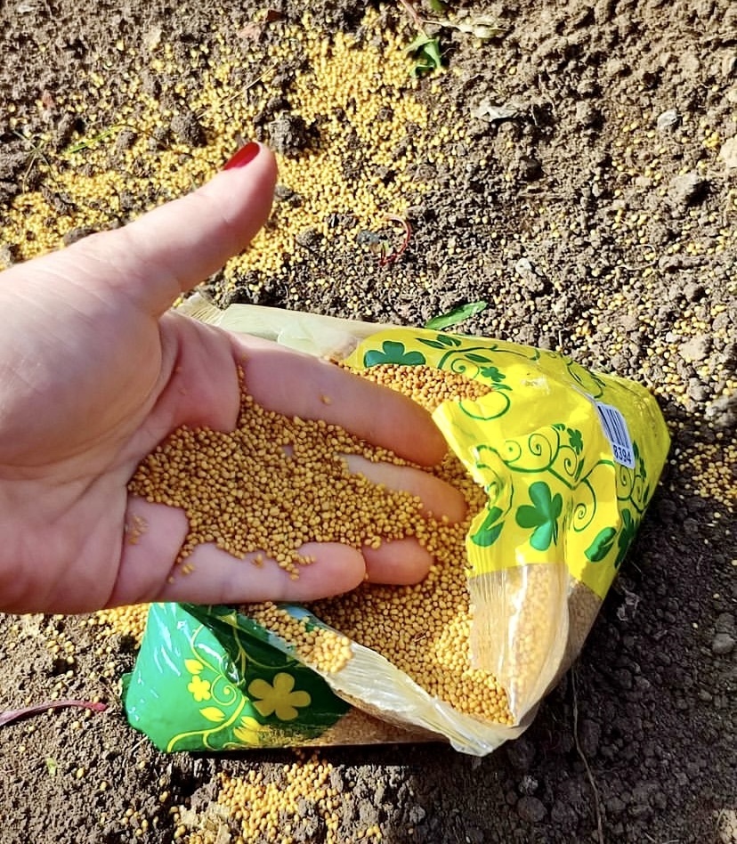 Достоинства Сидератов