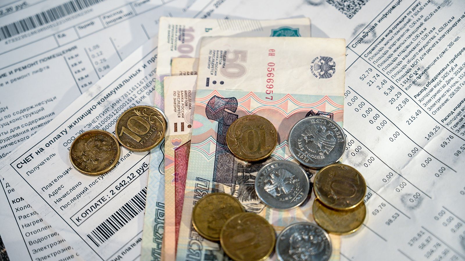 Пенсионеров и инвалидов освободят от штрафов за просрочку оплаты ЖКХ