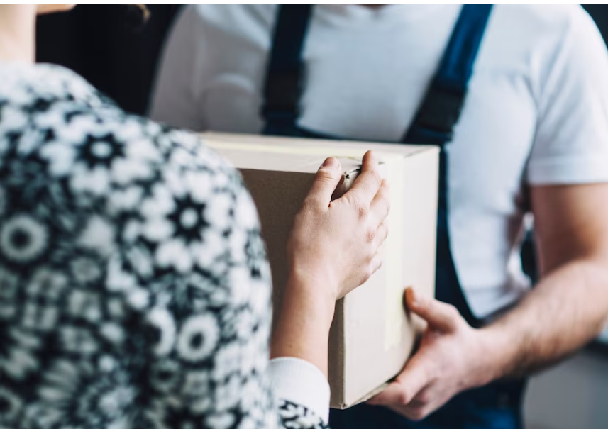 Яндекс.Доставка: плодолжение истории о посылке-призраке, или Алиса в стране чудес логистики