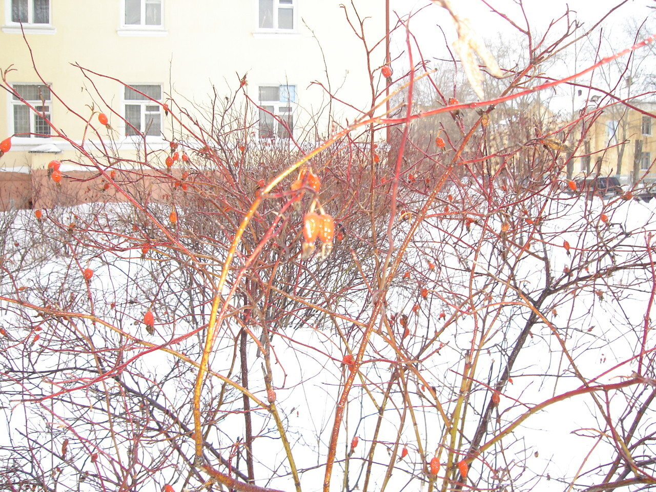 Продолжение моей автобиографической повести - 2