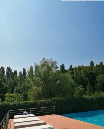 В преддверии летнего сезона. Обзор открытых бассейнов Саратова.