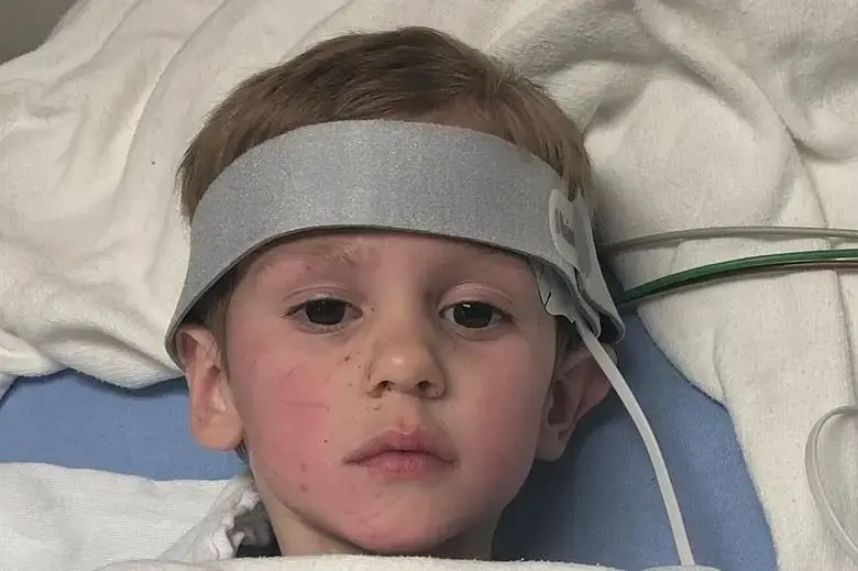 Заблудившийся в лесу мальчик два дня гулял с медведем