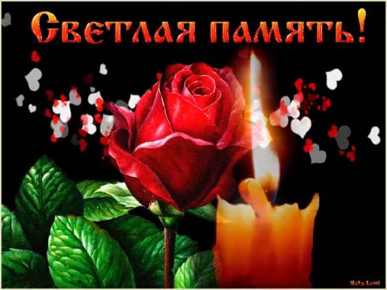 Анастасия Заворотнюк (30.05.2024). Конец земного пути