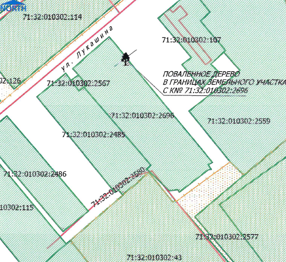 Во дворе на автомобиль упало дерево. УК отказала в возмещении вреда. Поставили УК на счетчик законно!