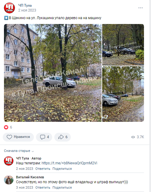 Во дворе на автомобиль упало дерево. УК отказала в возмещении вреда. Поставили УК на счетчик законно!