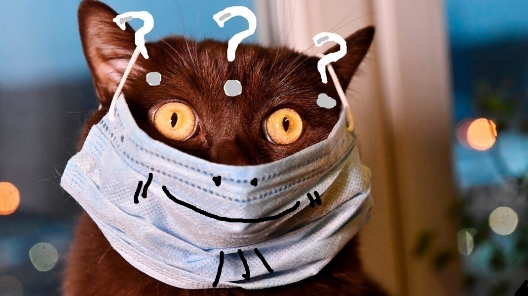 Погода за окном, или тает снег.