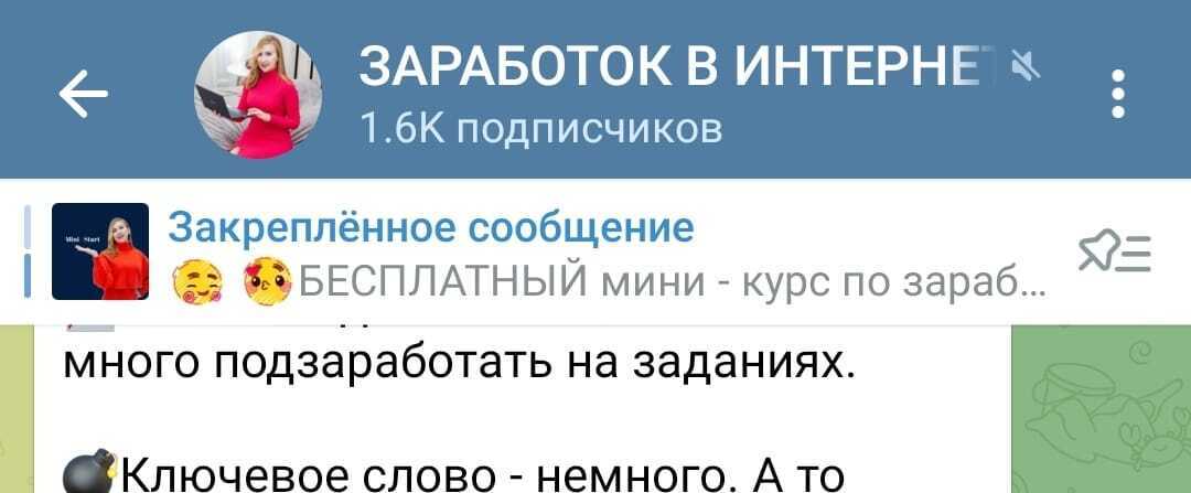 Как я развиваю тик ток и телеграм, и что мне это дает? Я работаю в интернете с 2019 года. Почти 9 тысяч в тик токе за 9 месяцев