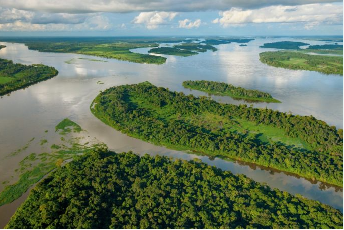 Загадочные Дикие Племена Африки: Взгляд в Неведомые Глубины.