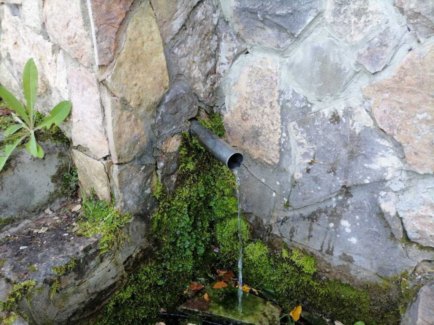 Купальня Преподобного Иосифа Волоцкого. Благодатное место для души и тела. Мои впечатления